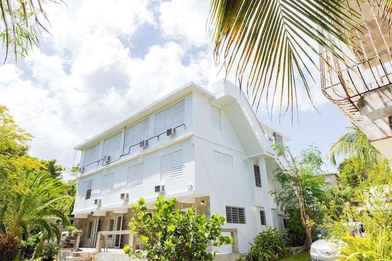 Vieques Tropical Guest House Exteriér fotografie