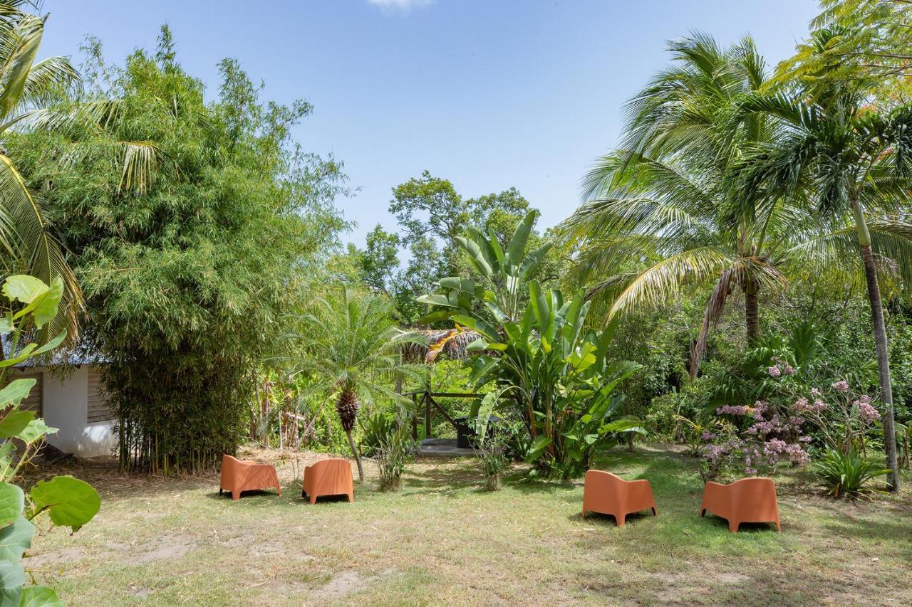 Vieques Tropical Guest House Exteriér fotografie
